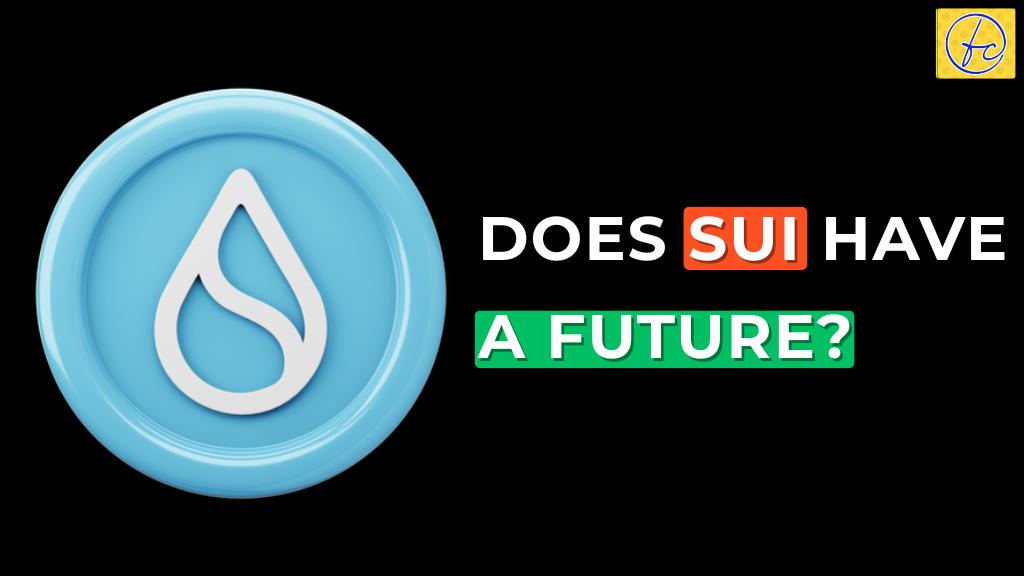 Does Sui Have a Future?
