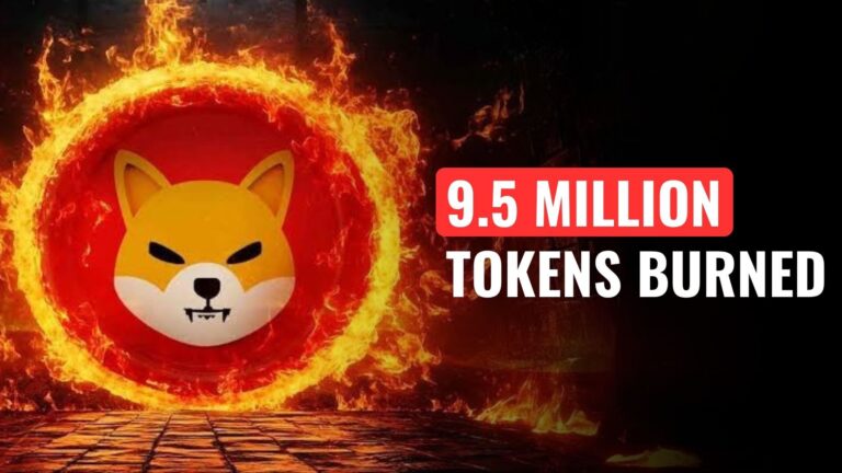 SHIBA INU Burn Rate